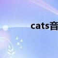 cats音乐剧简介（cats音乐剧）