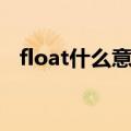 float什么意思在编程中（float什么意思）