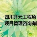 四川开元工程项目管理咨询有限公司杜某某（四川开元工程项目管理咨询有限公司）