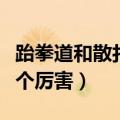 跆拳道和散打的区别是什么（跆拳道和散打哪个厉害）