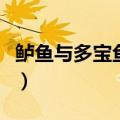 鲈鱼与多宝鱼的营养价值（多宝鱼的营养价值）