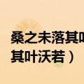 桑之未落其叶沃若采用了什么手法（桑之未落其叶沃若）