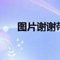 图片谢谢带字表情（谢谢图片加文字）