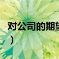 对公司的期望及个人发展期望（对公司的期望）