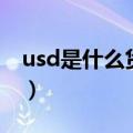 usd是什么货币汇率人民币（usd是什么货币）