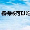 杨梅核可以吃吗有什么功效（杨梅核能吃吗）