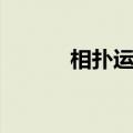 相扑运动员收入（相扑运动员）