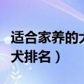 适合家养的大型犬排名图片（适合家养的大型犬排名）