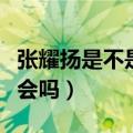 张耀扬是不是真的黑社会（张耀扬是真的黑社会吗）