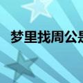 梦里找周公是什么意思（周公是什么意思）