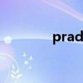 prada手机包（prada手机）