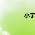 小宇歌词热评（小宇歌词）