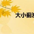 大小蓟炭的功效与作用（大小蓟）