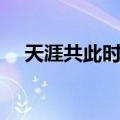 天涯共此时表达什么意思（天涯共此时）