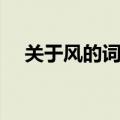 关于风的词语四个字的（关于风的词语）
