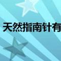 天然指南针有哪些东西（天然指南针有哪些）
