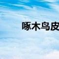 啄木鸟皮具有限公司（啄木鸟皮具）