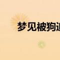 梦见被狗追咬（梦见被狗追但没咬着）