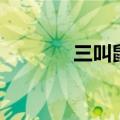 三叫鼠是哪个省的菜（三叫）