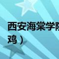 西安海棠学院到底怎样（西安海棠学院女生是鸡）