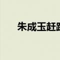 朱成玉赶路的荷花阅读理解（朱成玉）