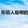 形容人聪明的成语故事（形容人聪明的成语）