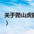 关于爬山虎的资料和图片（关于爬山虎的资料）