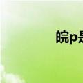 皖p是安徽哪个城市（皖p）