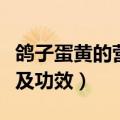 鸽子蛋黄的营养价值及功效（蛋黄的营养价值及功效）