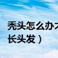 秃头怎么办才能长头发女生（秃头怎么办才能长头发）