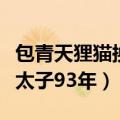 包青天狸猫换太子旧版第六集（包青天狸猫换太子93年）
