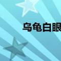 乌龟白眼病多久会死（乌龟白眼病）