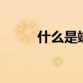 什么是端午节呀（什么是端午节）