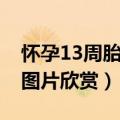 怀孕13周胎儿图片欣赏视频（怀孕13周胎儿图片欣赏）
