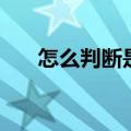 怎么判断是胃疼（胃在哪里位置图女）