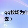 qq牧场为什么进不去了（qq牧场为什么进不去）