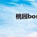 桃园boss刷新点（桃园采集分布）