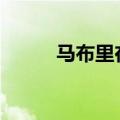 马布里在cba年薪（马布里年薪）