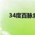 34度百脉泉酒（38度百脉泉酒价格表）