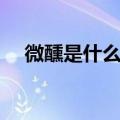 微醺是什么意思解释（微醺是什么意思）
