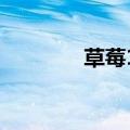 草莓100%动画（草莓100）