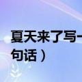 夏天来了写一句话简短一年级（夏天来了写一句话）