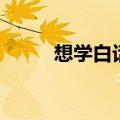 想学白话用什么软件（想学白话）