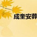 成奎安葬礼明星吊念（成奎安葬礼）