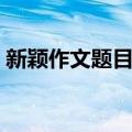 新颖作文题目大全小学（新颖作文题目大全）