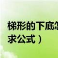 梯形的下底怎么求公式小学（梯形的下底怎么求公式）