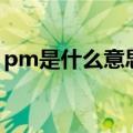 pm是什么意思翻译成中文（pm是什么意思）