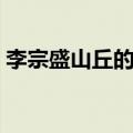 李宗盛山丘的情感表达（李宗盛山丘的寓意）
