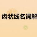 齿状线名词解释人体解剖（齿状线名词解释）
