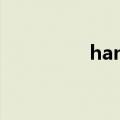 handbags（handbag）